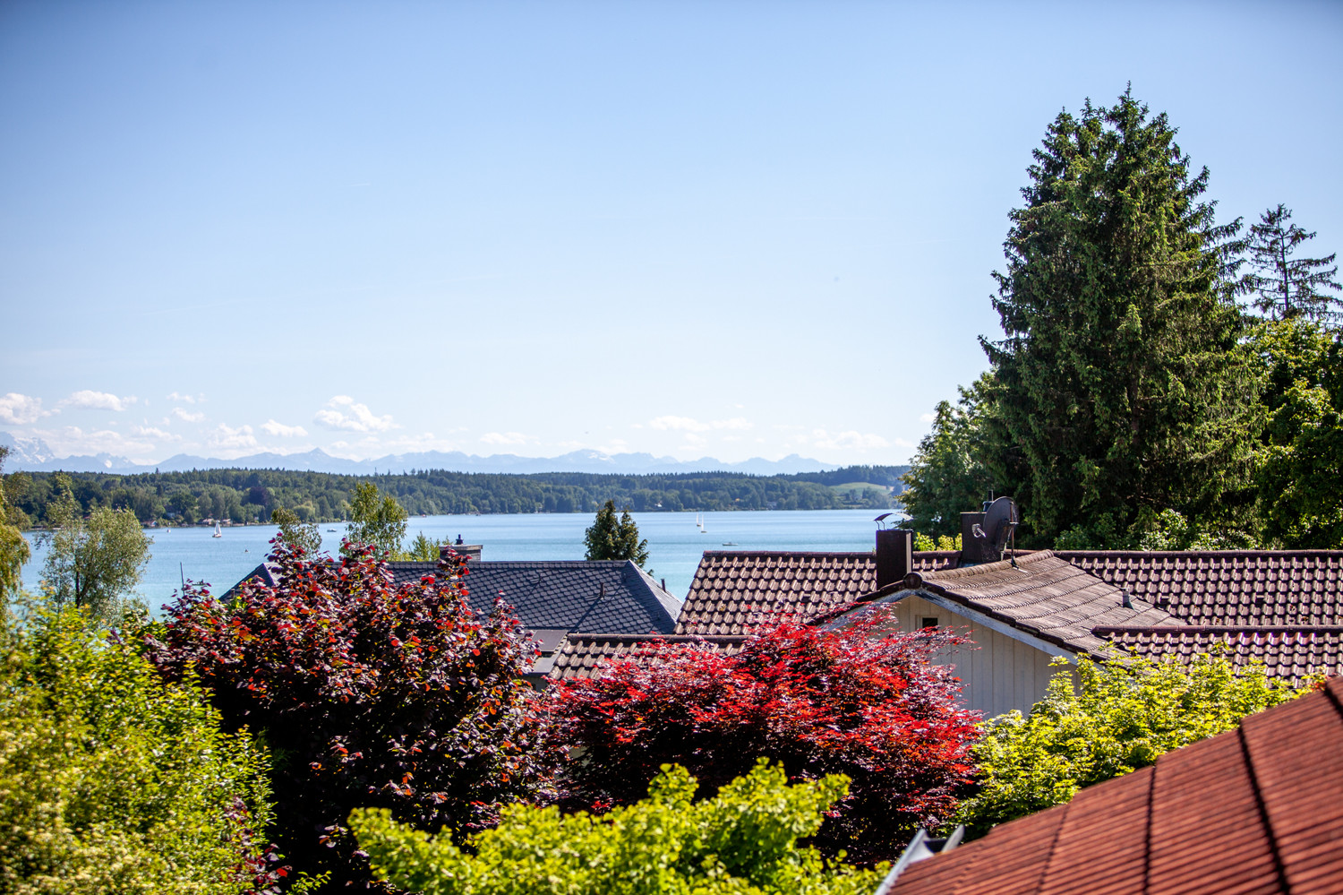 Blick aus dem Arbeitszimmer