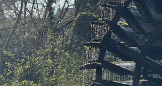 von_poll_real_estate_property_25032008_image_20