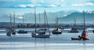 von_poll_real_estate_property_23032002-D_image_11