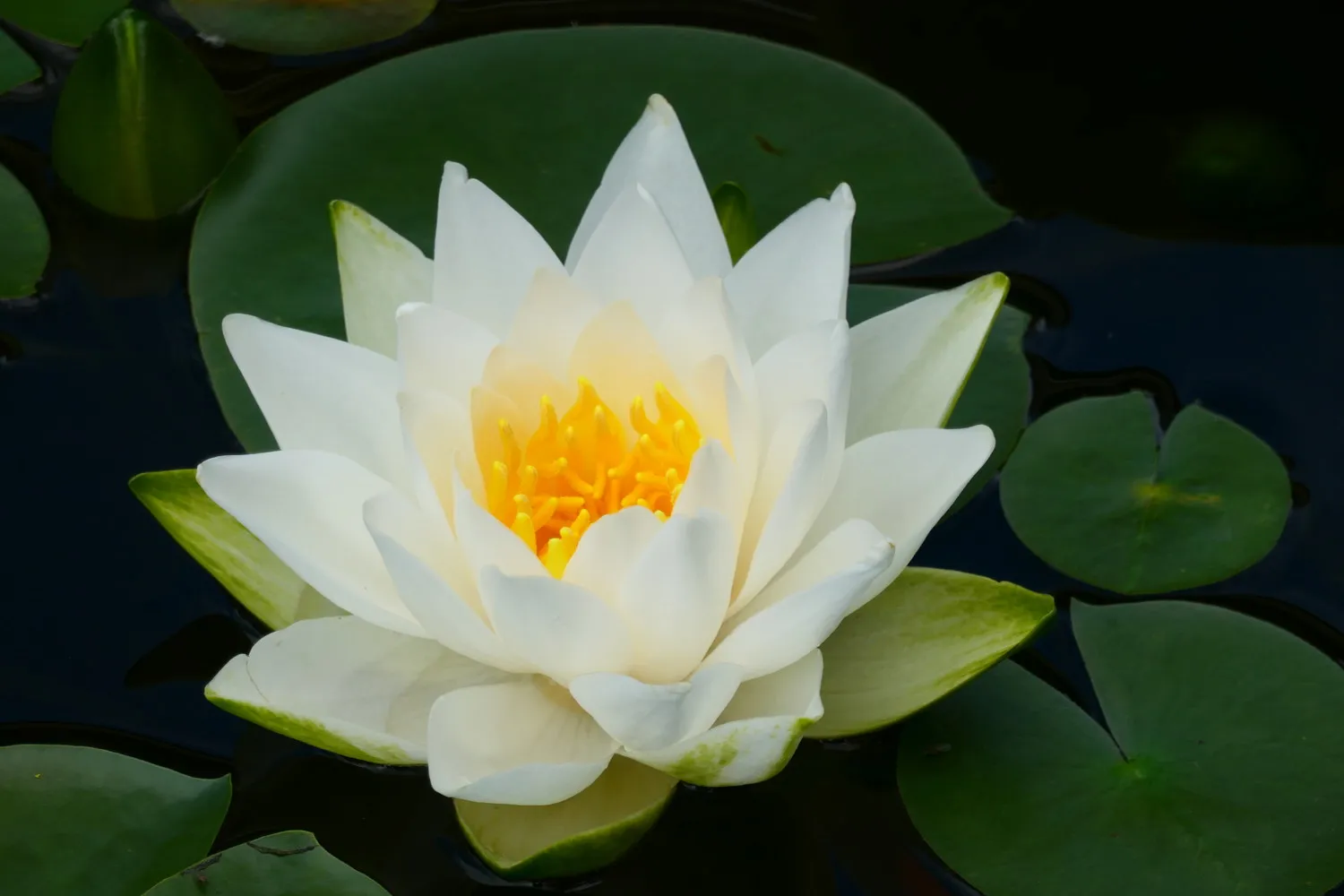 Vista al mar incluida - Vida encantadora con estilo