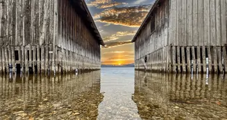 von_poll_real_estate_property_25032011_image_20