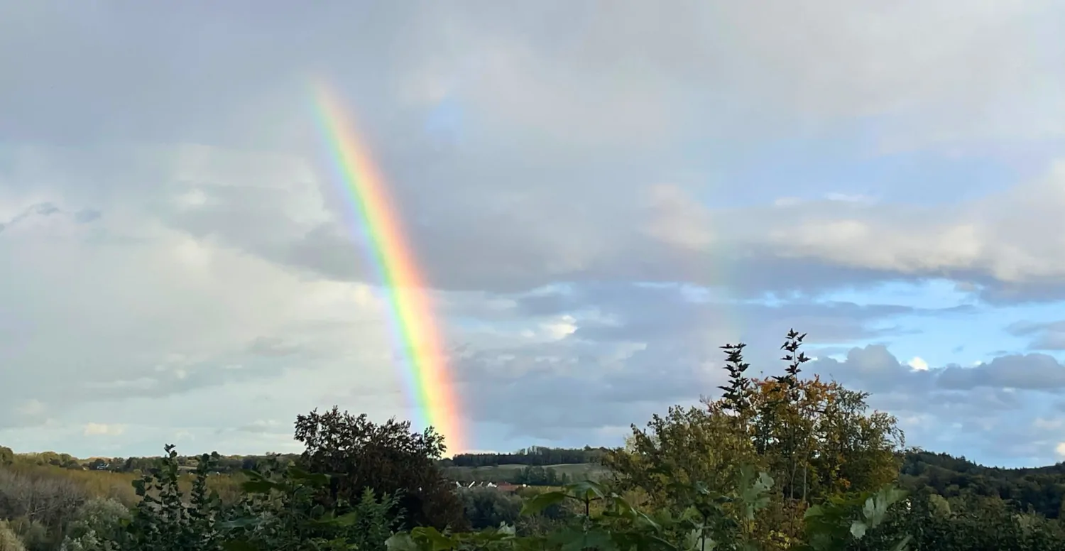 Regenbogen