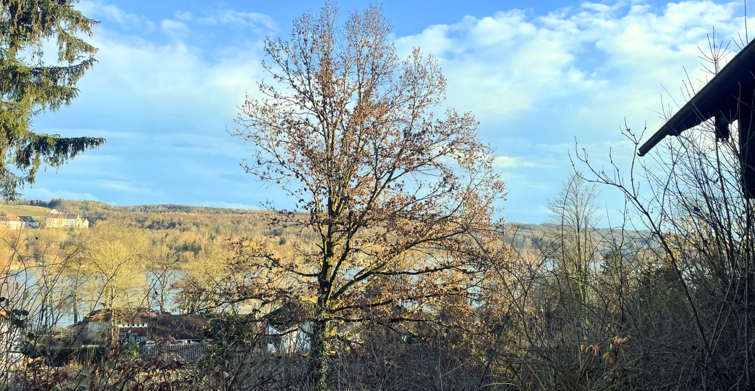 Schloßblick