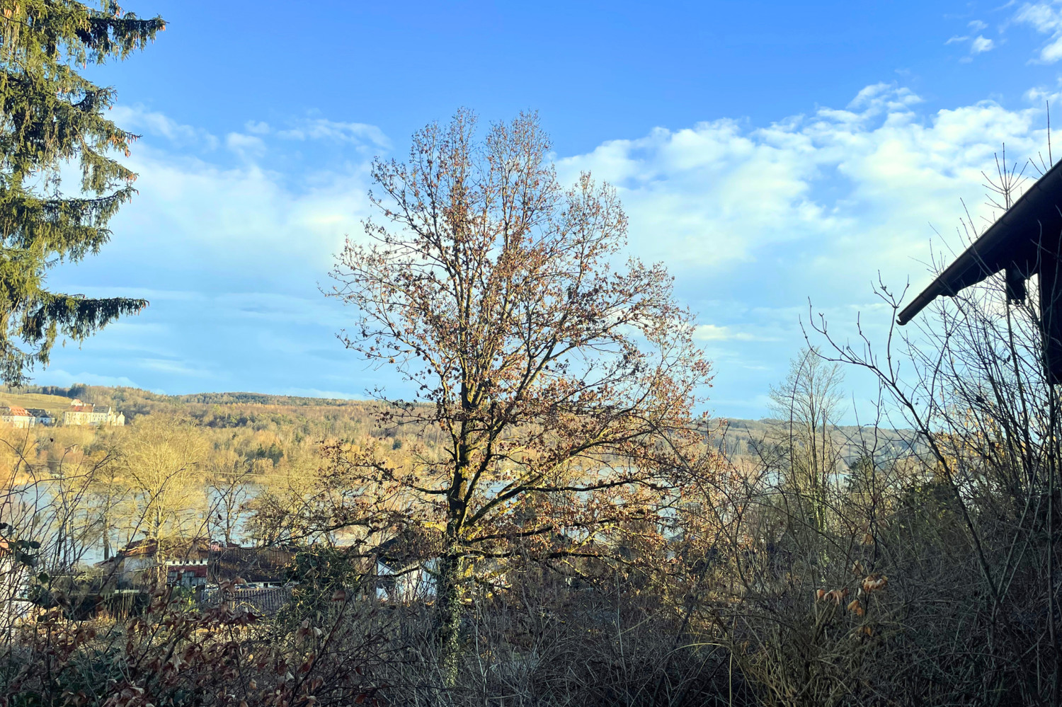 Schloßblick