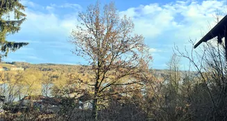 von_poll_real_estate_property_25032-W2_image_5