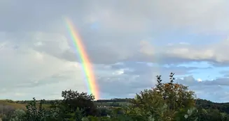 von_poll_real_estate_property_25032-W2_image_6