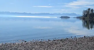 von_poll_real_estate_property_25032020_image_17