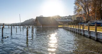 von_poll_real_estate_property_25032020_image_16