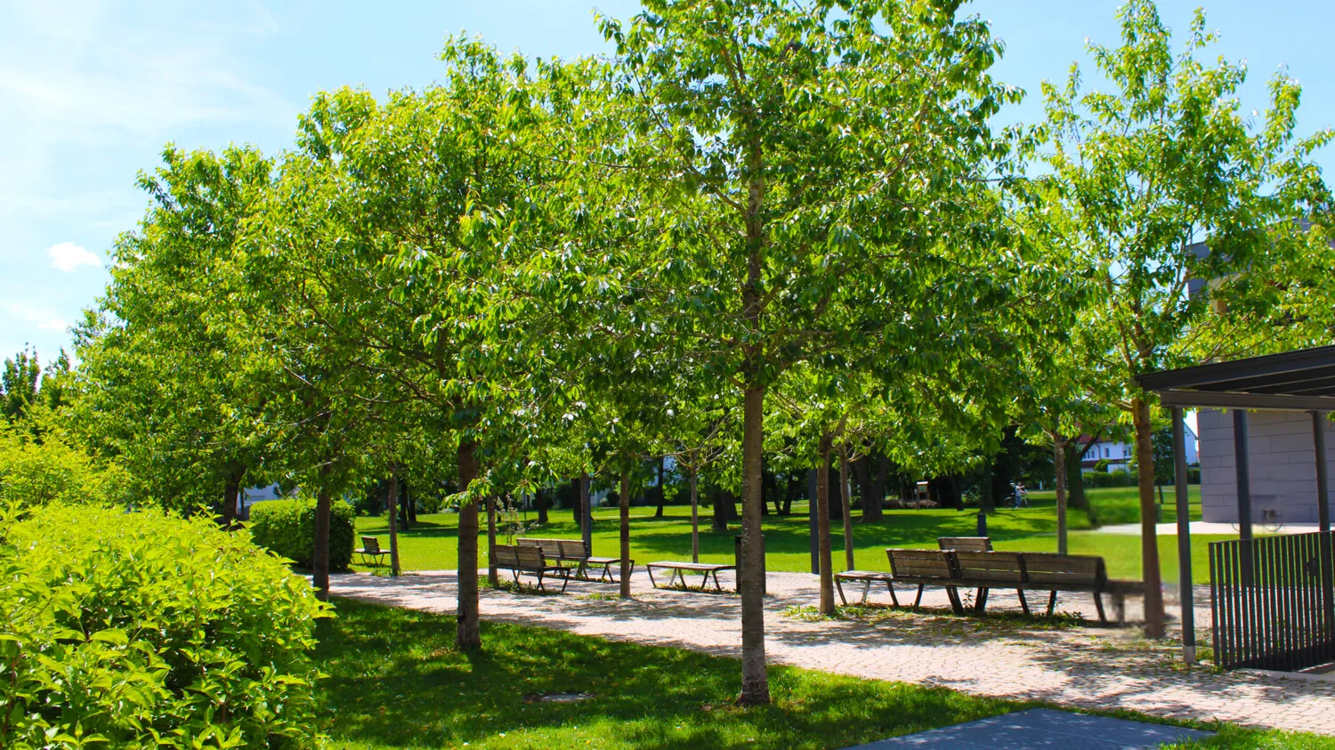 Charmantes Familienhaus auf schönem Grundstück