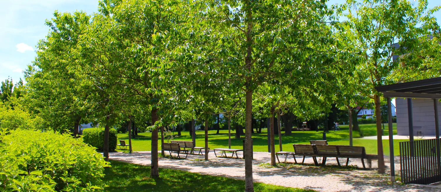 Charmantes Familienhaus auf schönem Grundstück
