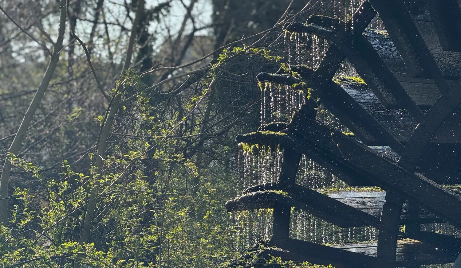 Der nächste Sommer kommt bestimmt....