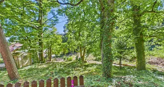 von_poll_real_estate_property_25021066_image_2