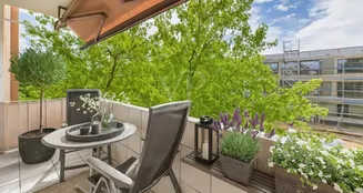 von_poll_real_estate_property_25021065_image_2