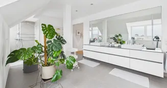 von_poll_real_estate_property_25021075_image_10