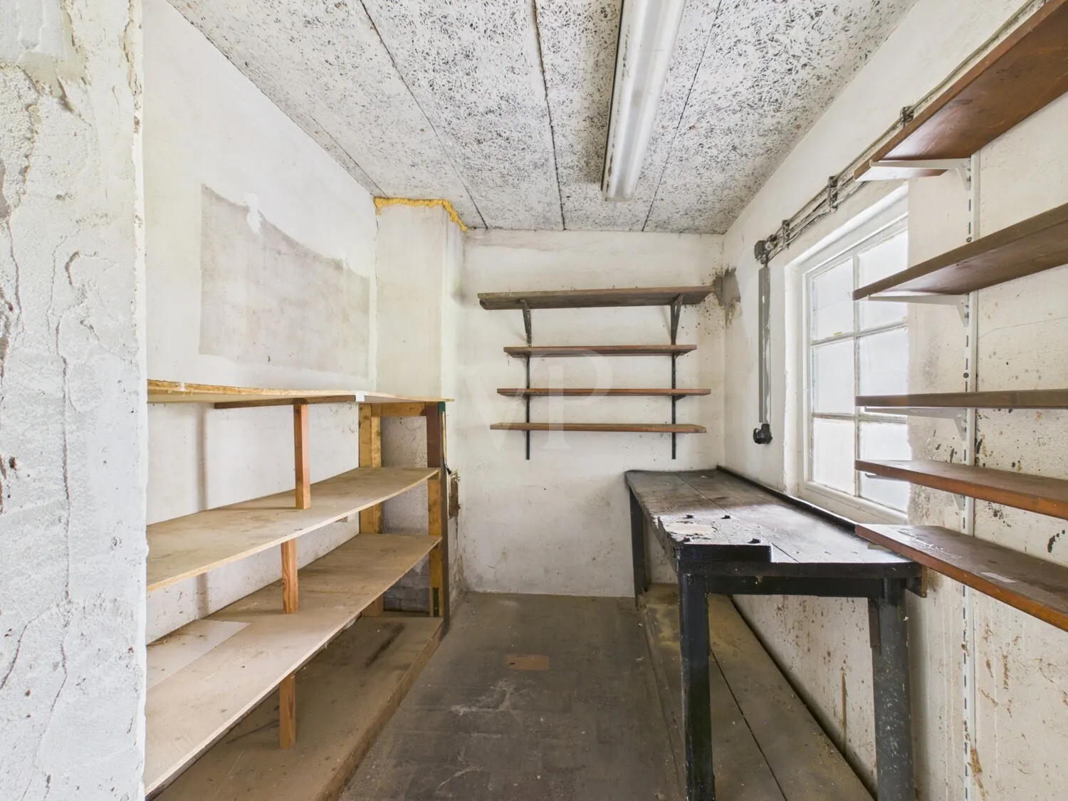 Schuppen 5