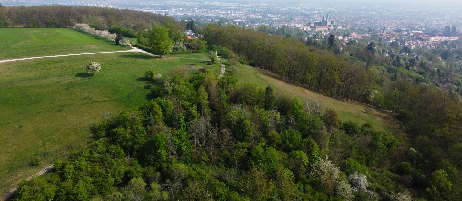 Rothof, oberhalb der Immobilie