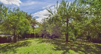 von_poll_real_estate_property_25161035_image_28