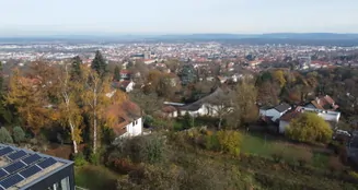 von_poll_real_estate_property_25161070_image_12