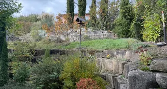 von_poll_real_estate_property_25161080_image_11