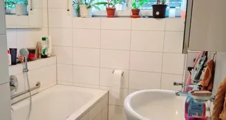 von_poll_real_estate_property_25161088_image_10