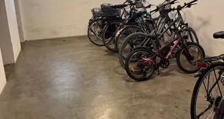 von_poll_real_estate_property_25161086_image_14