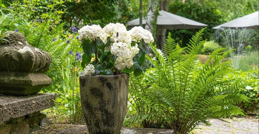 Garten