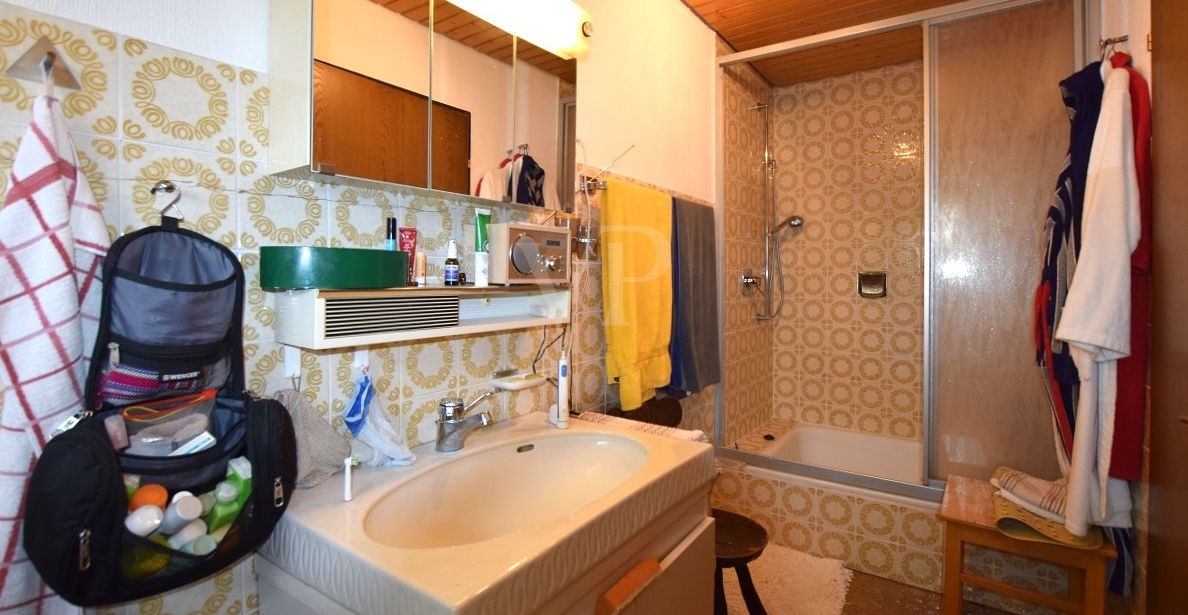 Duschbad Apartment