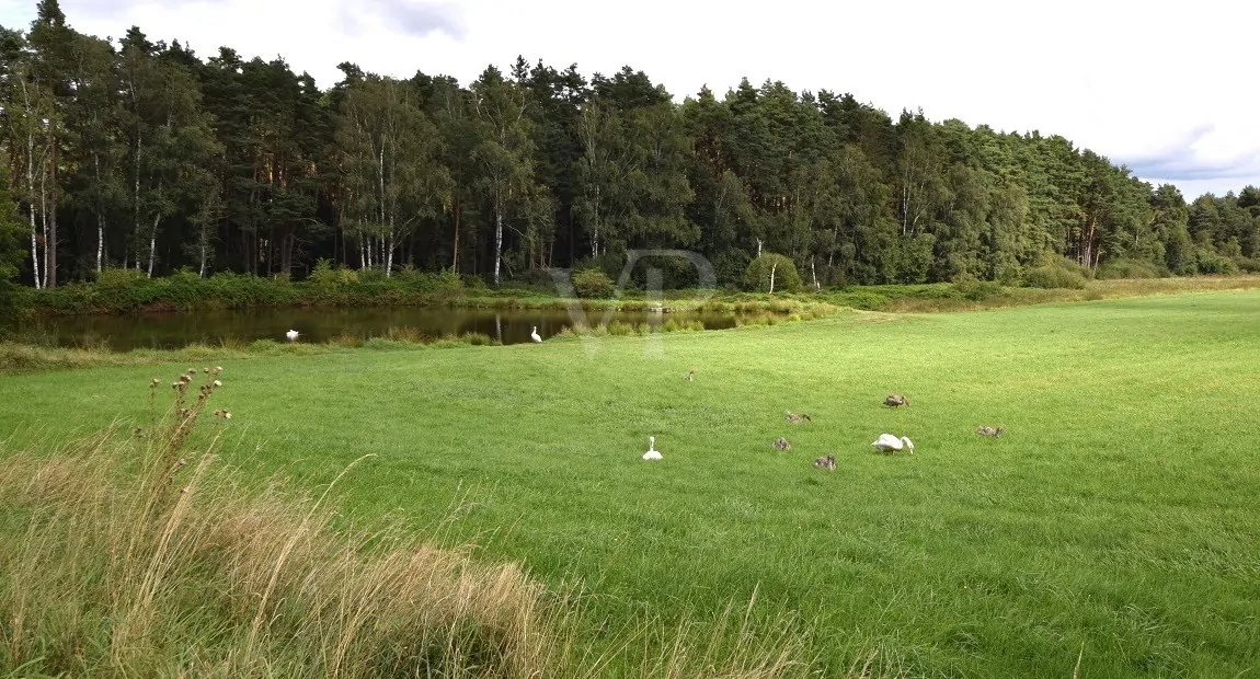 Nahes Naturschutzgebiet