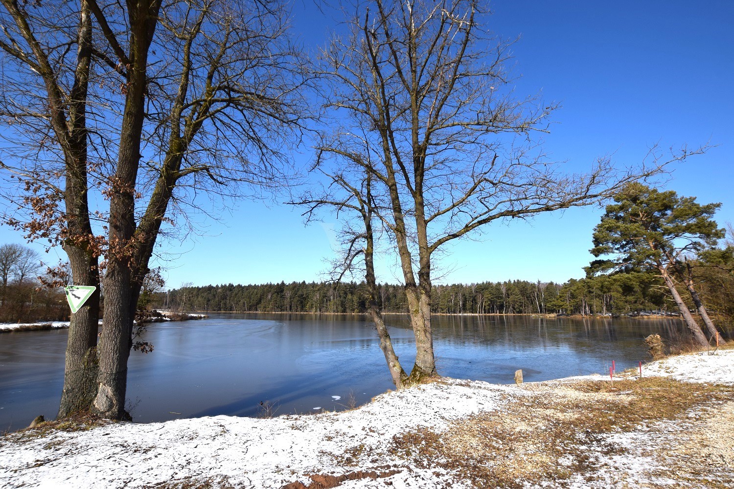 Naherholung/Naturschutzgebiet Brunner Weiher