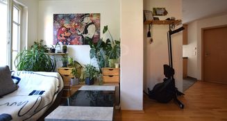 von_poll_real_estate_property_25208711_image_22