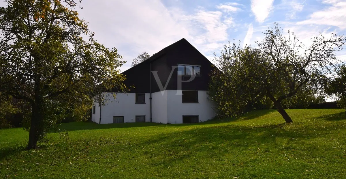 Westansicht - Garten mit Obstbaumbestand