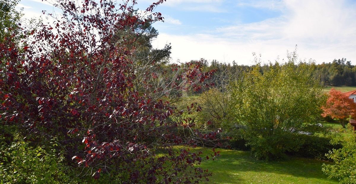 Ausblick Garten