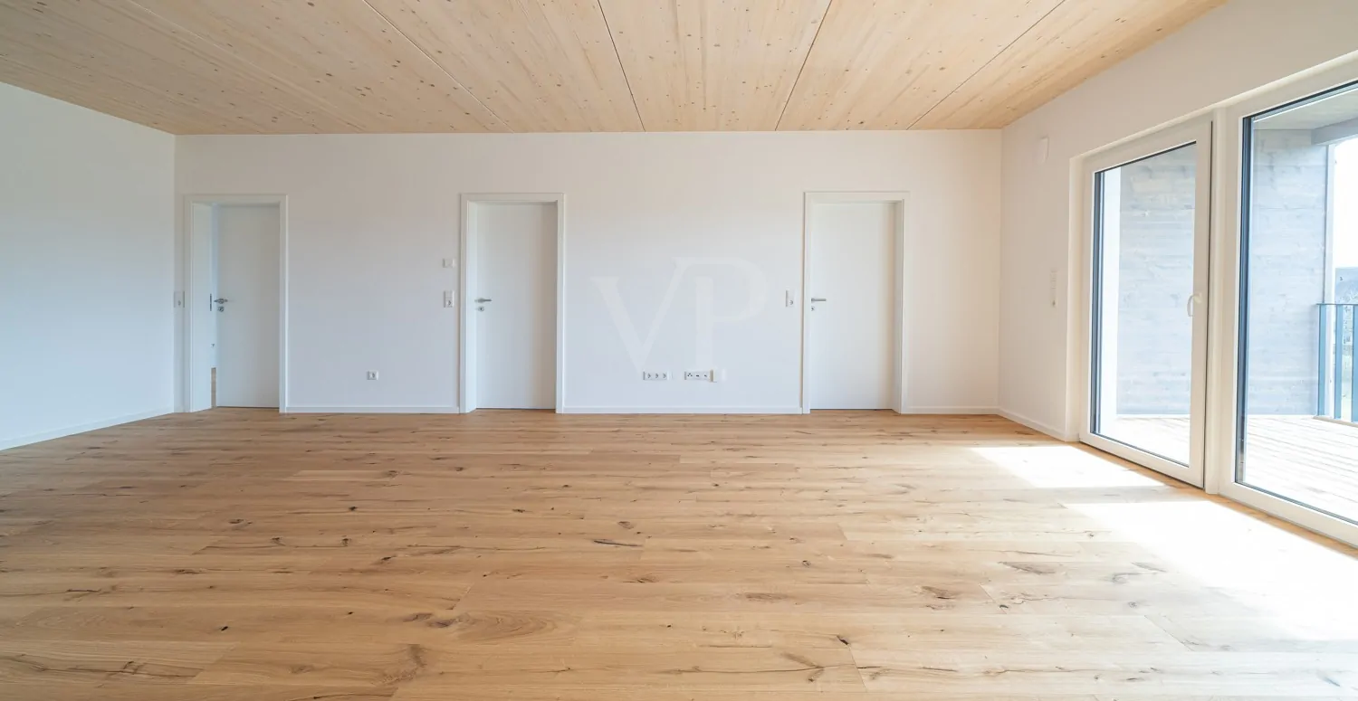 Wohn-/Ess-/Kochbereich