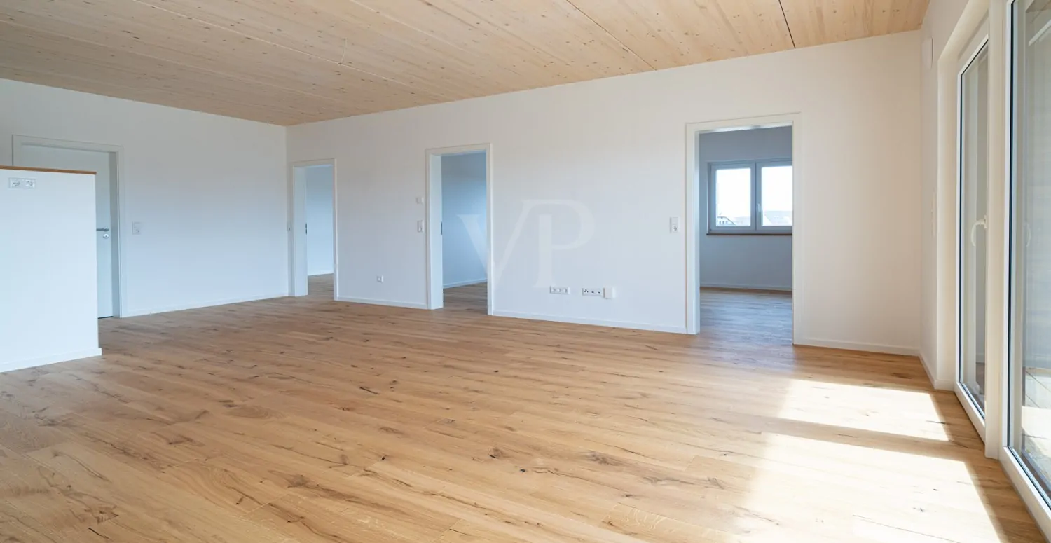 Wohn-/Ess-/Kochbereich