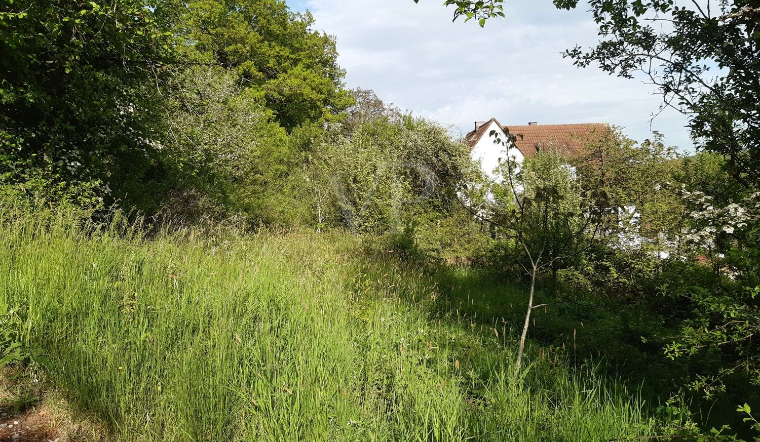 Grundstück
