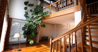 von_poll_real_estate_property_25208692A_image_20