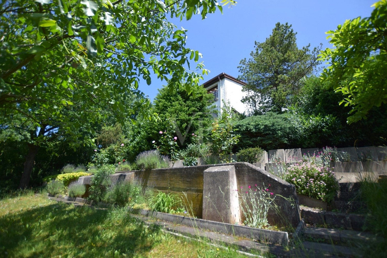 Gartenansicht