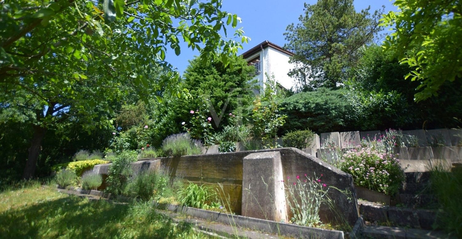 Gartenansicht