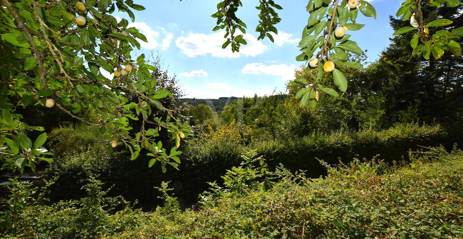 Ausblick