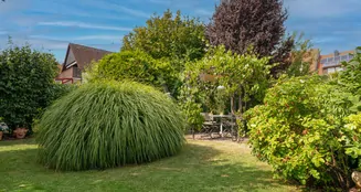 von_poll_real_estate_property_25208741_image_28