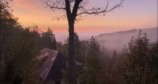 von_poll_real_estate_property_MW610_image_15