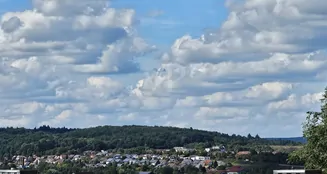 von_poll_real_estate_property_25208747_image_18