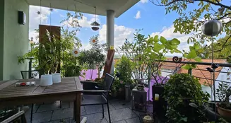 von_poll_real_estate_property_25208747_image_14