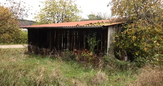 von_poll_real_estate_property_25208778_image_20