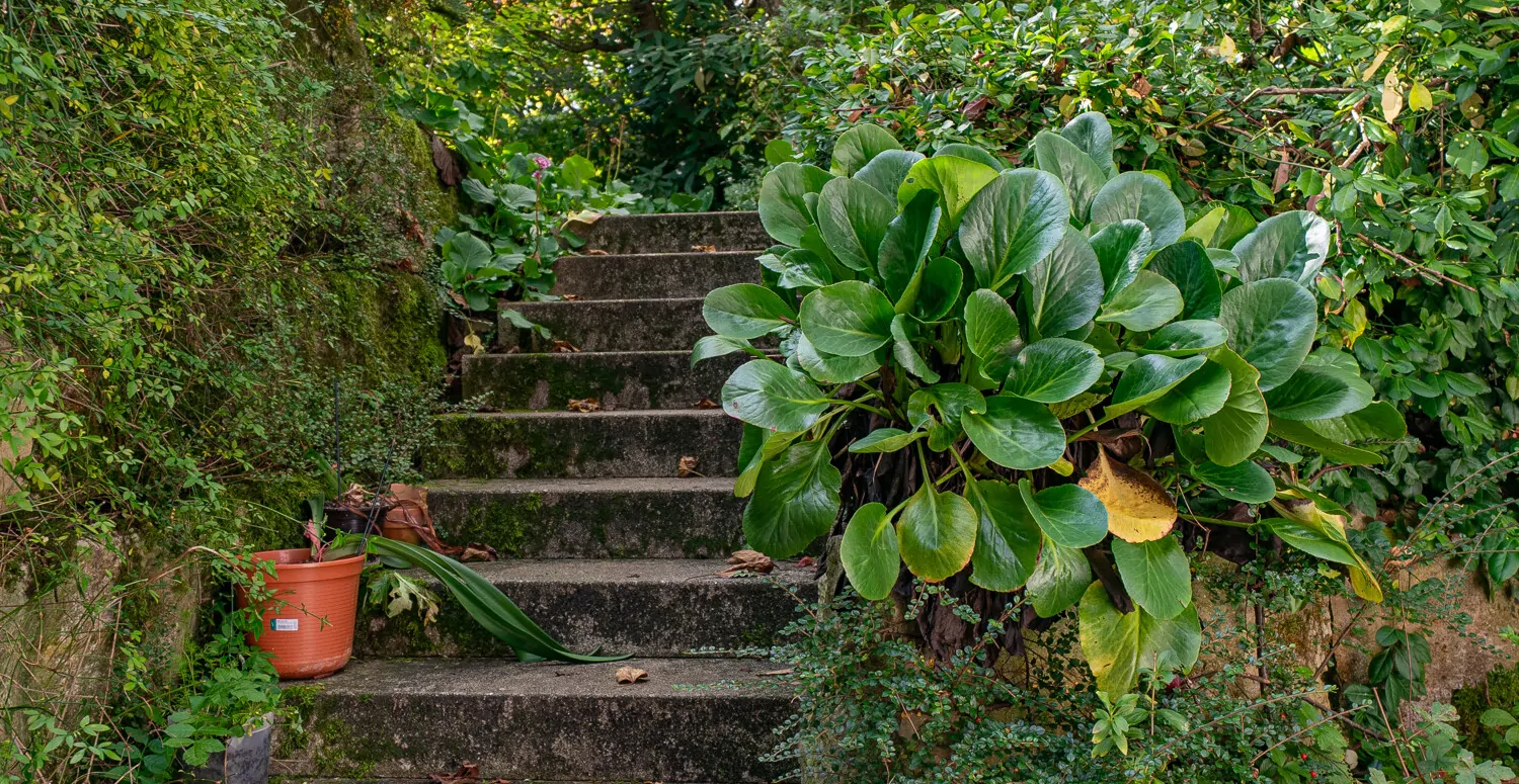 Zeitlose Eleganz! Ein Wohntraum umgeben von Natur mit großzügigem Flächenangebot, Pool und Sauna
