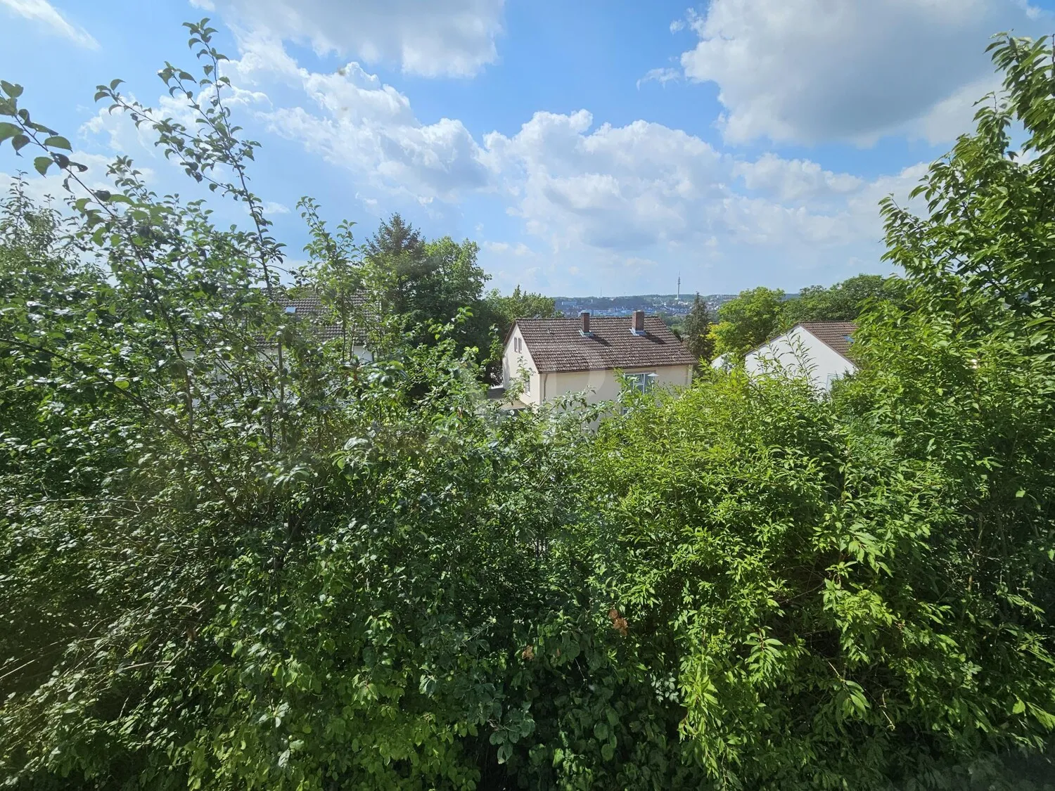 sonniger Ausblick