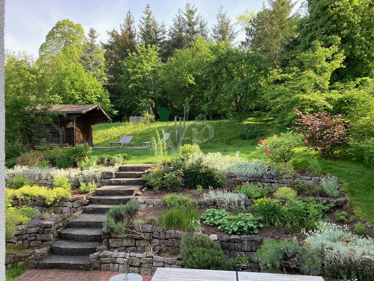 Garten - Sommer