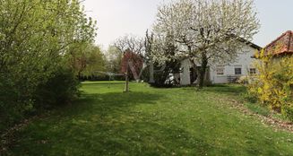 von_poll_real_estate_property_14208023_image_28