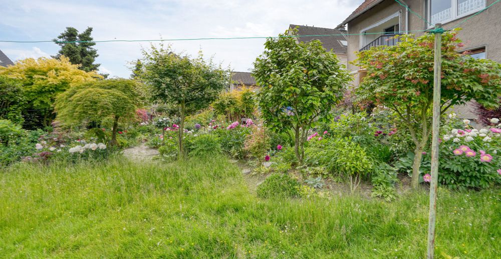 Blick in den Garten