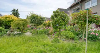 von_poll_real_estate_property_23061021_image_3